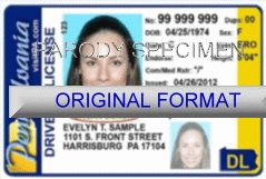 Pennsylvania Fake ID