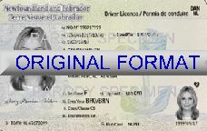 Newfoundland Fake Driver License Format ID Cards Designs Templates Novelty Software Card Hologram newfoundland