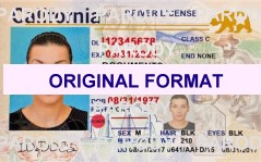 Delaware Scannable Fake ID's