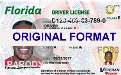 florida drivers license generator