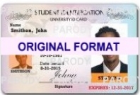 Fake Student Identity