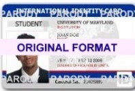 fake international student id card