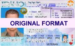 idaho scannable fake real ids