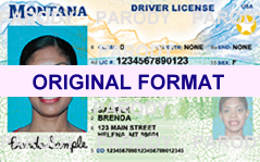 Scannable Montana Fake ID's