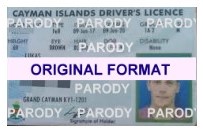 Cayman Islands Fake ID Scannable Fake Driver license
