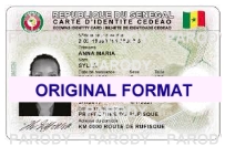 senegal fake id fake driver license senegal