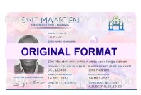 sint maarten fake id fake driver license sint maarten