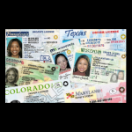 fake--id-fake-drivers-license-novelty-fakeids